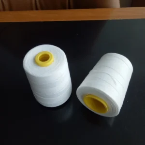 20s/6 Shaped Cone Raw White 100% Polyester Spun Mercerized Abrasion-Resistant Eco-Friendly Sewing Thread for Cross Stitch