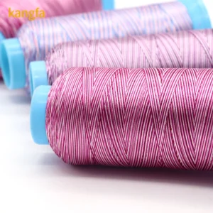 Factory Silk Embroidery for Thread 120D 2 Rainbow 100% Polyester Embroidery Thread